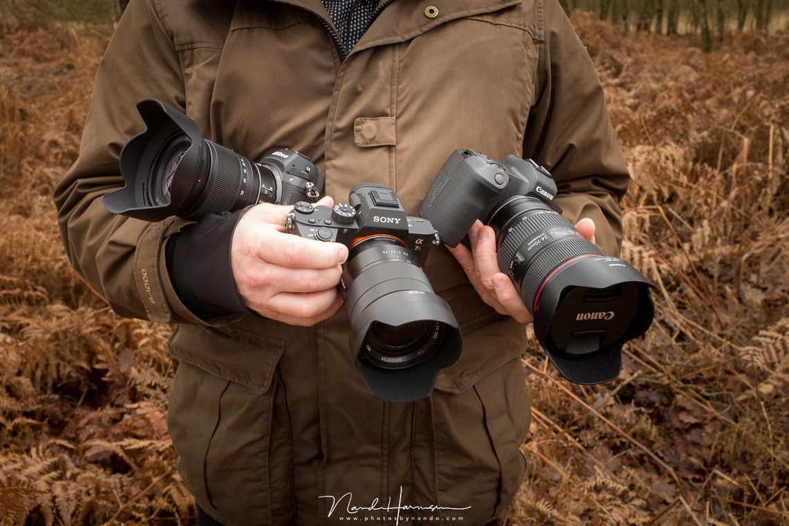 Vertrouwen kam Hechting Vergelijking Canon EOS R, Nikon Z7 en Sony A7R III - Cameraland Blog